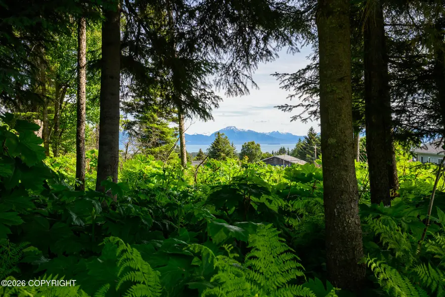 167 E Danview Avenue, Homer, AK 99603 - #3