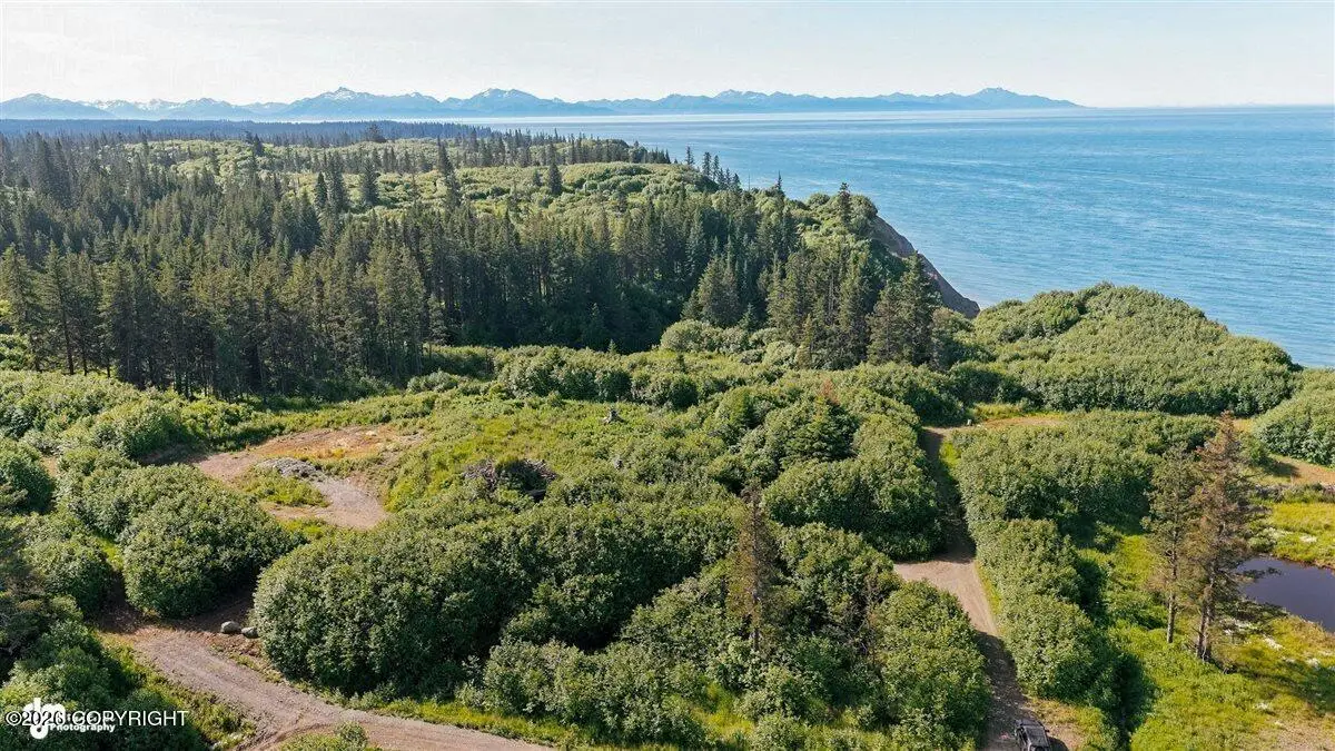 35899 & 35931 Danver Street, Anchor Point, AK 99556 - #1