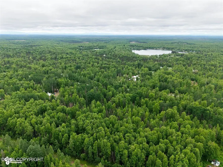 20150 E Notherstrike Avenue, Willow, AK 99688 - #3