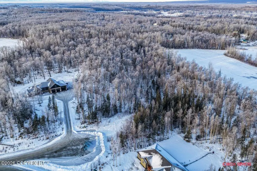 1420 N Bloodstone Circle, Wasilla, AK 99654 - #3