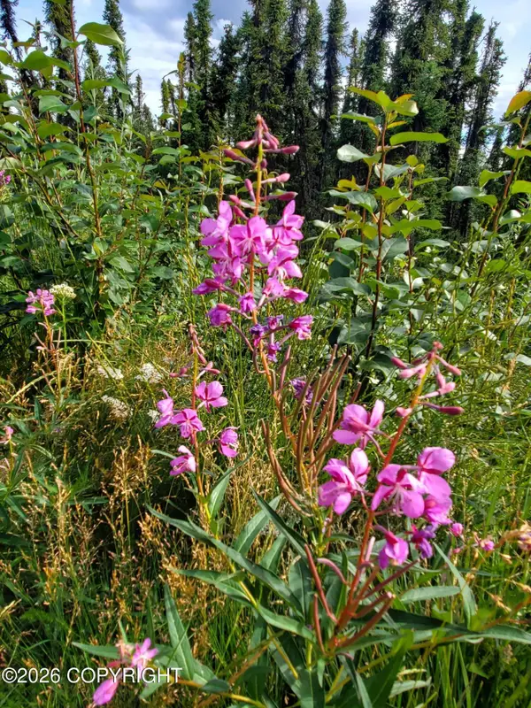 L11 B1 Brenden Blvd, Copper Center, AK 99573