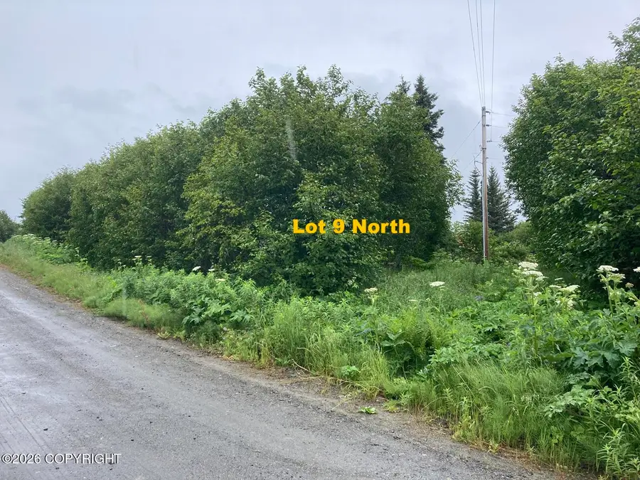 26215 Sterling Highway, Anchor Point, AK 99556 - #3