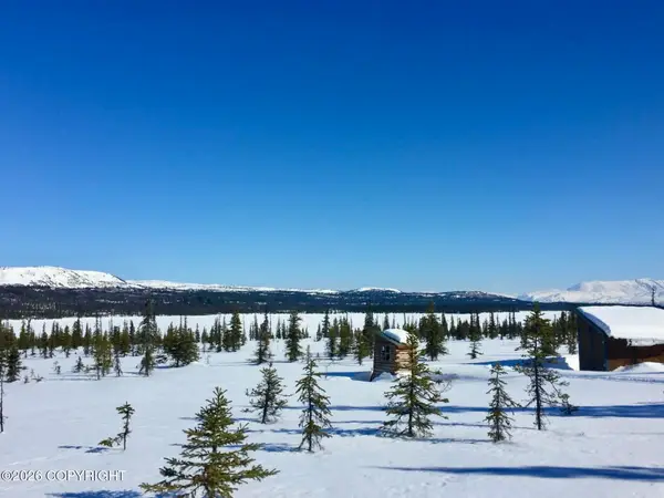 45589 Caribou Lake Rem Sw, Homer, AK 99603