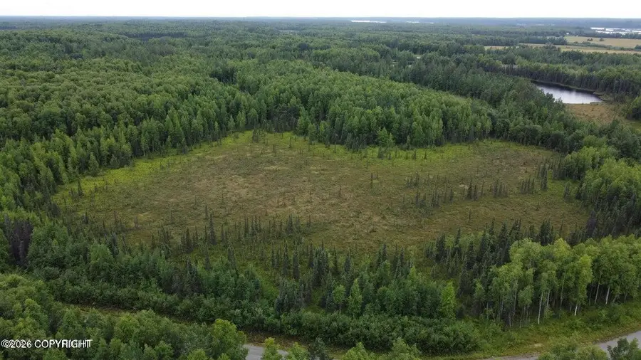 L2 B3 E Mount Snowshoe Drive, Talkeetna, AK 99676 - #3