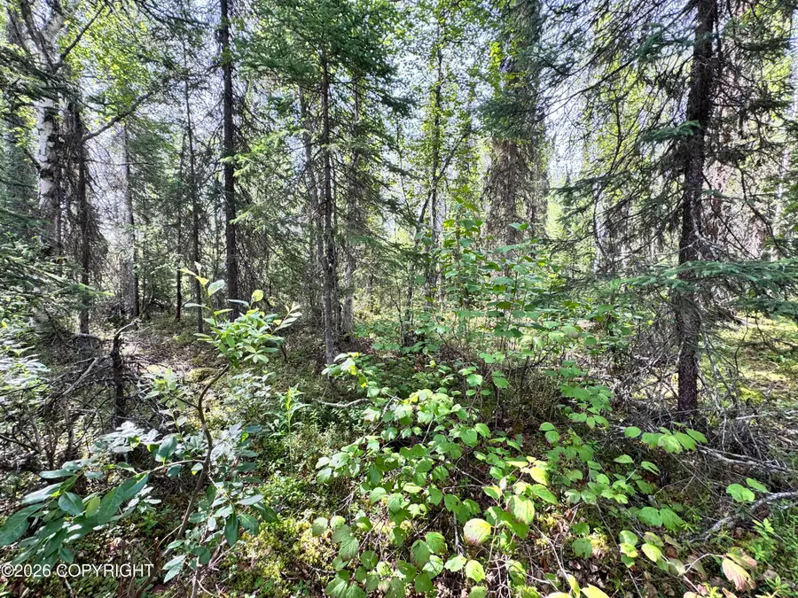 26814 W Lakeshore Circle, Willow, AK 99688 - #2