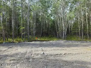 Lot 5 Bent Rod Court, Sterling, AK 99672 - #1