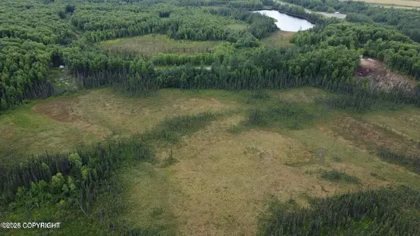 Tr A E Mount Snowshoe Drive, Talkeetna, AK 99676