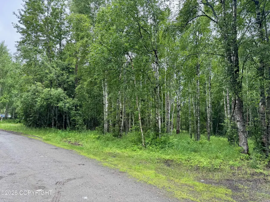 7480 W Captain Hook Drive, Wasilla, AK 99623 - #2