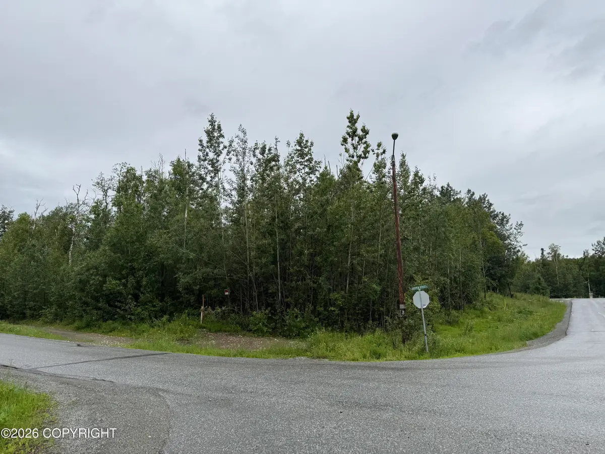 L3 B2 E Aspen Ridge Road, Wasilla, AK 99654 - #1