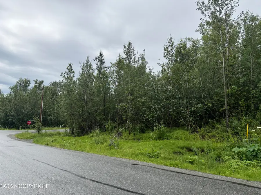 L3 B2 E Aspen Ridge Road, Wasilla, AK 99654 - #2