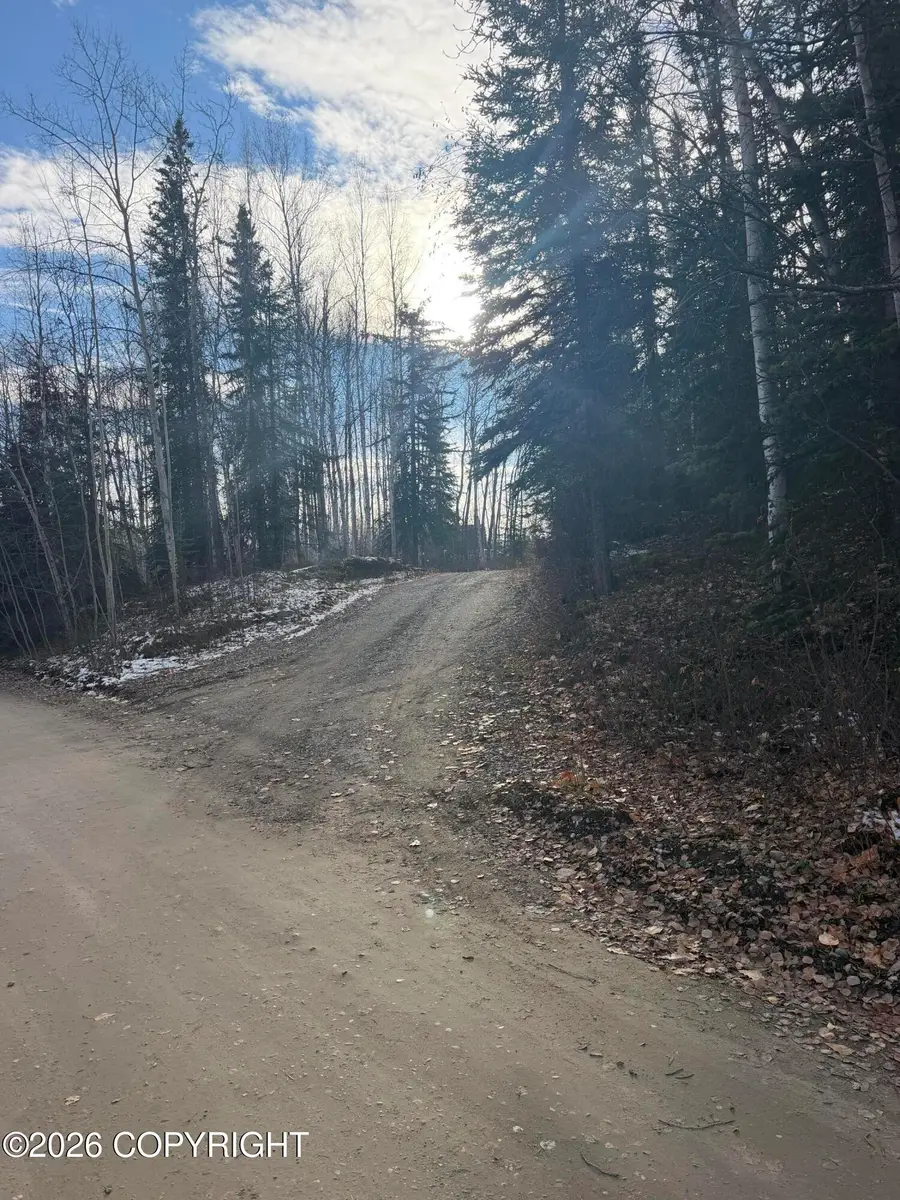 L2A-B F A A Way, Nenana, AK 99760 - #3