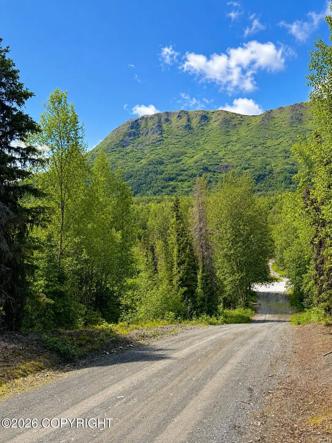L1 Bean Creek Road, Cooper Landing, AK 99572 - #1