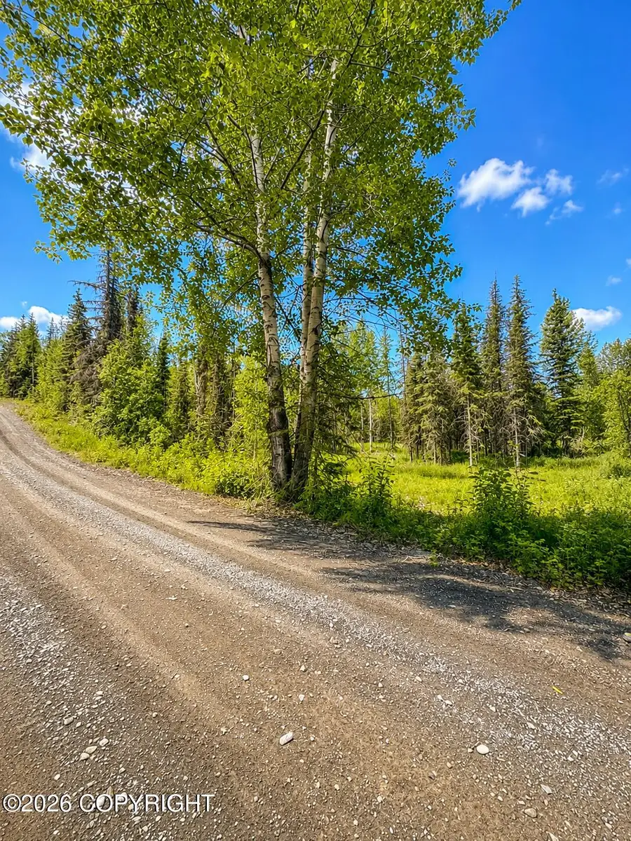 L1 Bean Creek Road, Cooper Landing, AK 99572 - #2