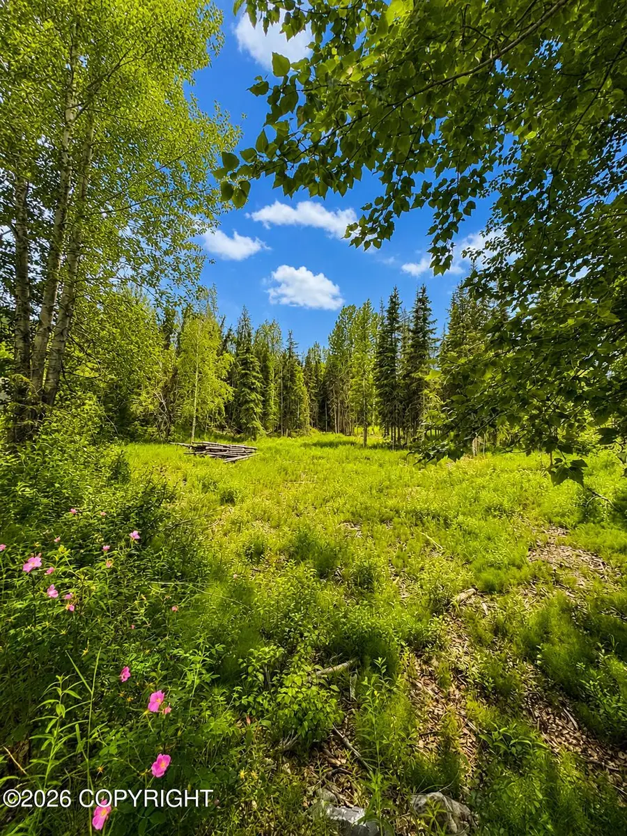 L1 Bean Creek Road, Cooper Landing, AK 99572 - #3