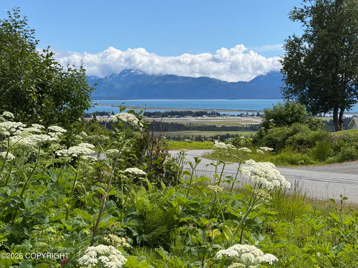 4730 Craftsman Road, Homer, AK 99603 - #1