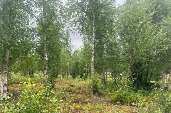 4758 S Horseshoe Lake Road, Big Lake, AK 99652