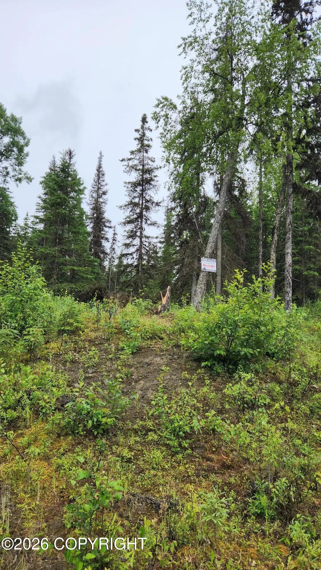 L4 Ten Mar Avenue, Sterling, AK 99672 - #1