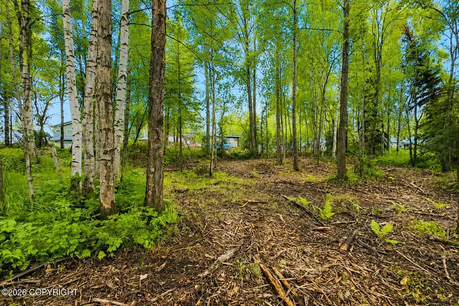 L5 Zurich Street, Anchorage, AK 99507 - #3