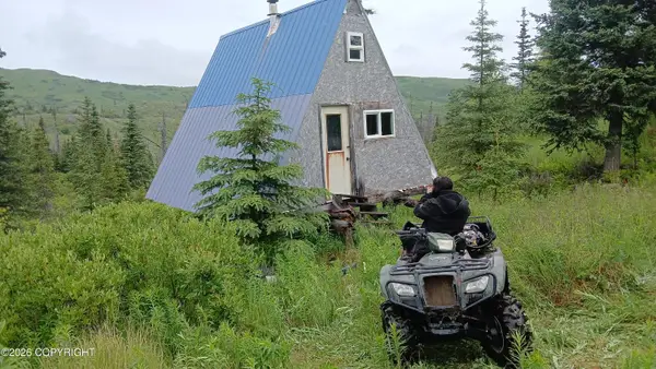 000 Caribou Homestead Lake L8 B3, Homer, AK 99603