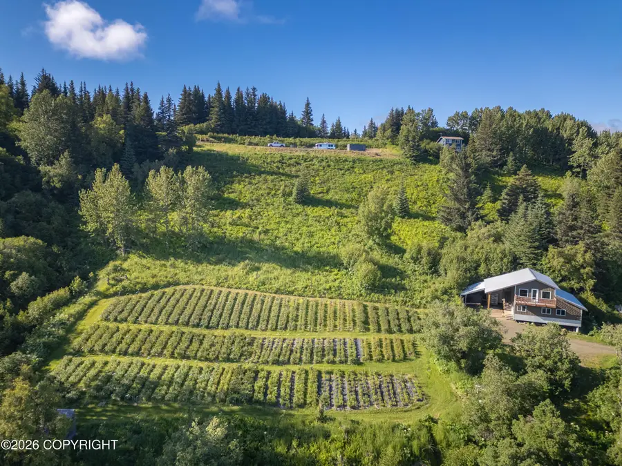 5655 Scenic Place, Homer, AK 99603 - #3