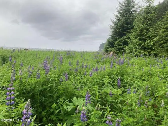 0 Little Johnstone Bay, Seward, AK 99664 - #2