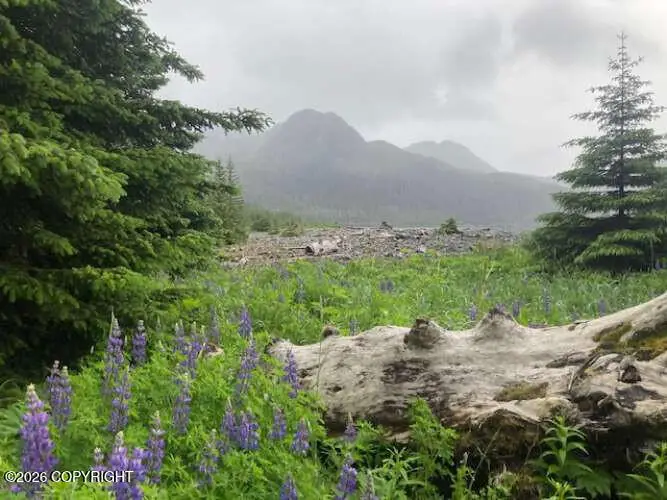 0 Little Johnstone Bay, Seward, AK 99664 - #3