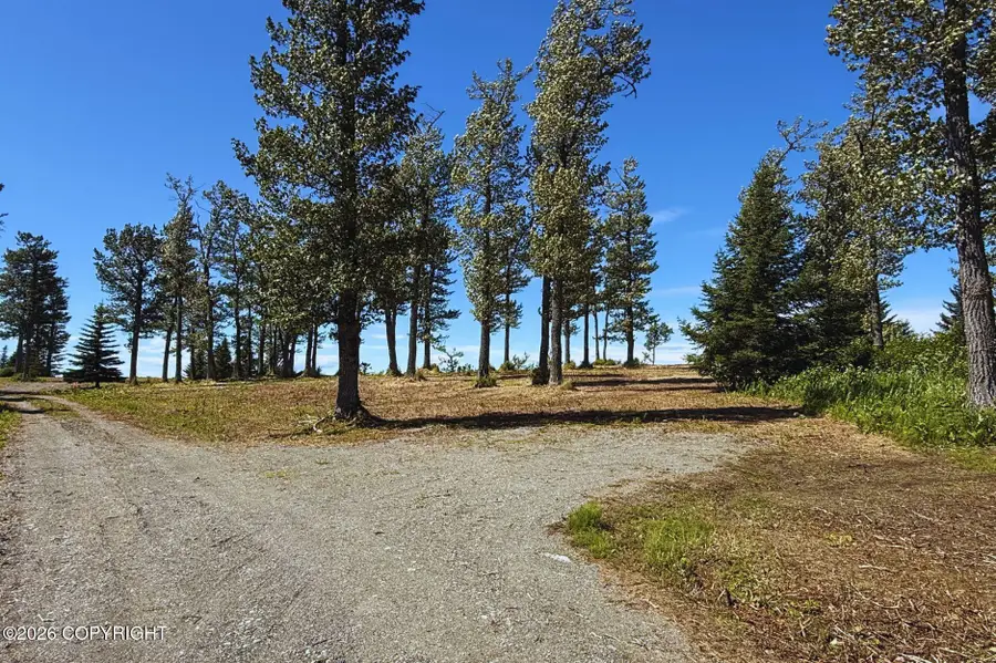 71037 Glud Court, Happy Valley, AK 99556 - #3