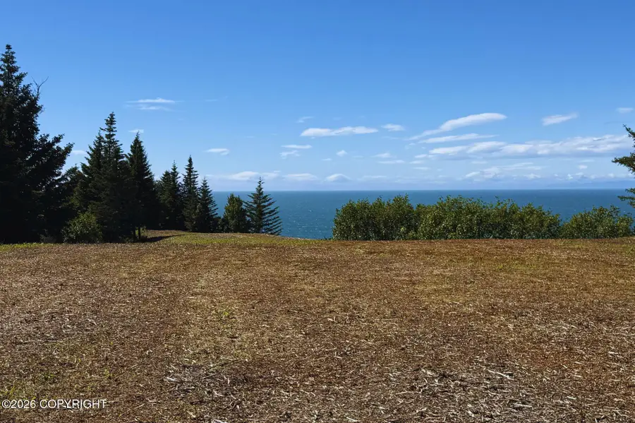 71033 Glud Court, Happy Valley, AK 99556 - #2