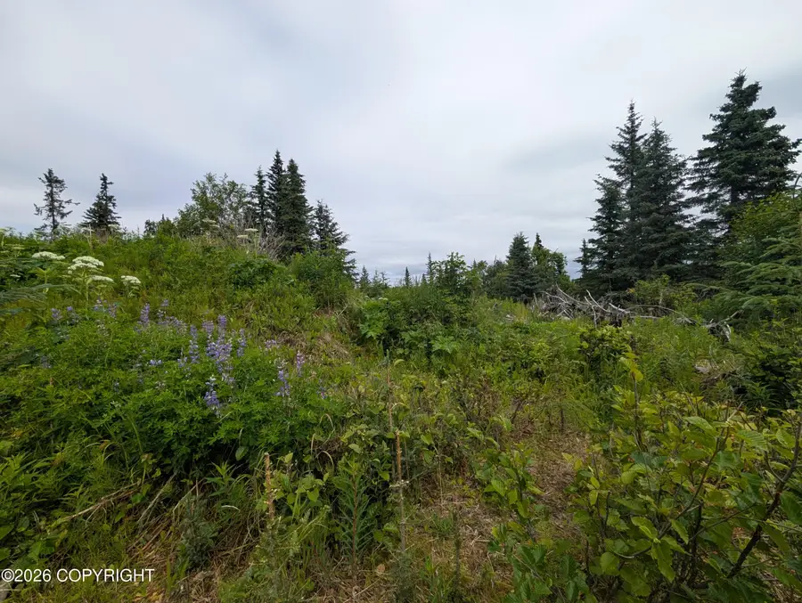 67118 Deep Creek Road, Ninilchik, AK 99639 - #2