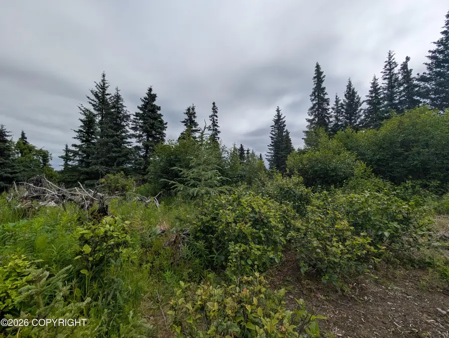 67118 Deep Creek Road, Ninilchik, AK 99639 - #3