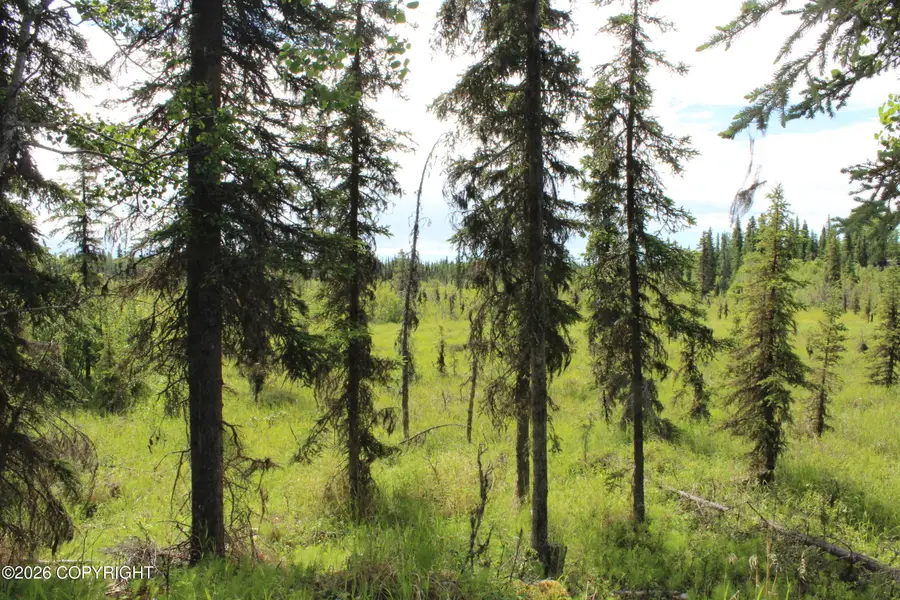 L3B2 Crooked Creek Road, Kasilof, AK 99610 - #3