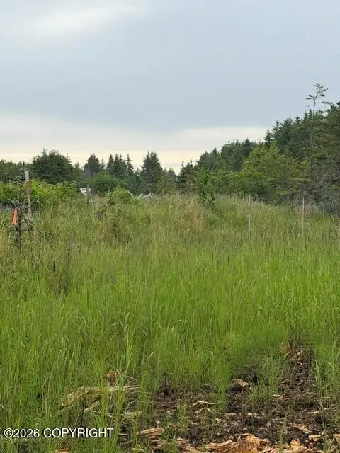 000 Lake Street, Homer, AK 99603 - #3