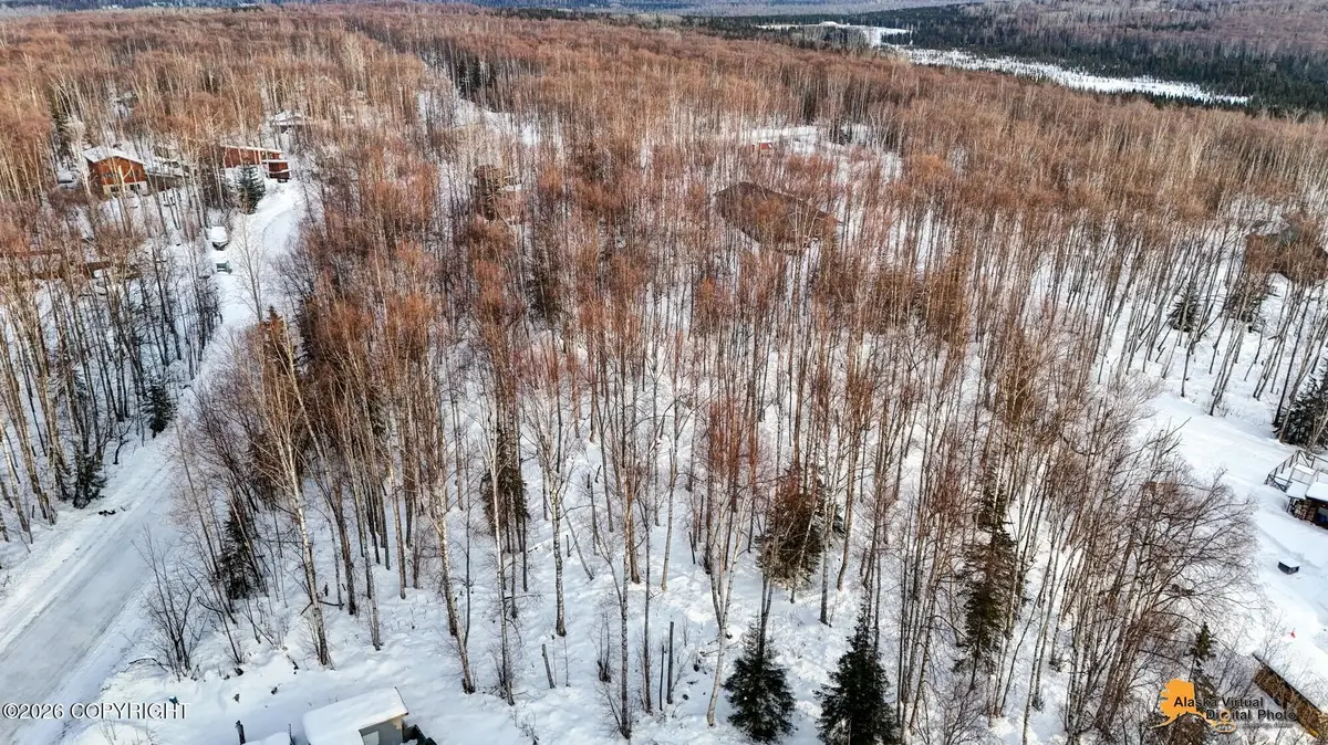 3411 N White Knight Drive, Houston, AK 99623 - #1