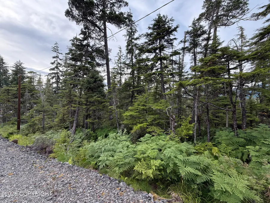 10 Aardal Lane, Petersburg, AK 99833 - #3