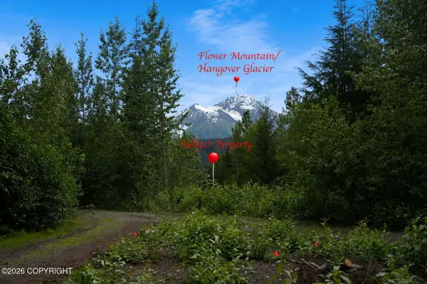 Lot 20 Buckeye Lane, Haines, AK 99827