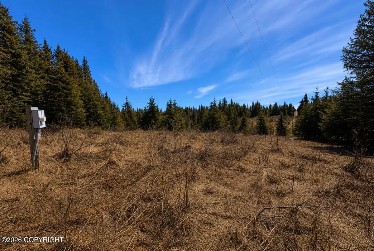 000 Twitter Creek Lane, Homer, AK 99603 - #1