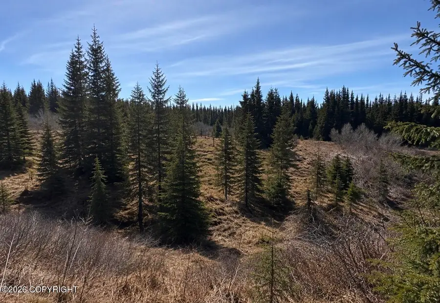 000 Twitter Creek Lane, Homer, AK 99603 - #2