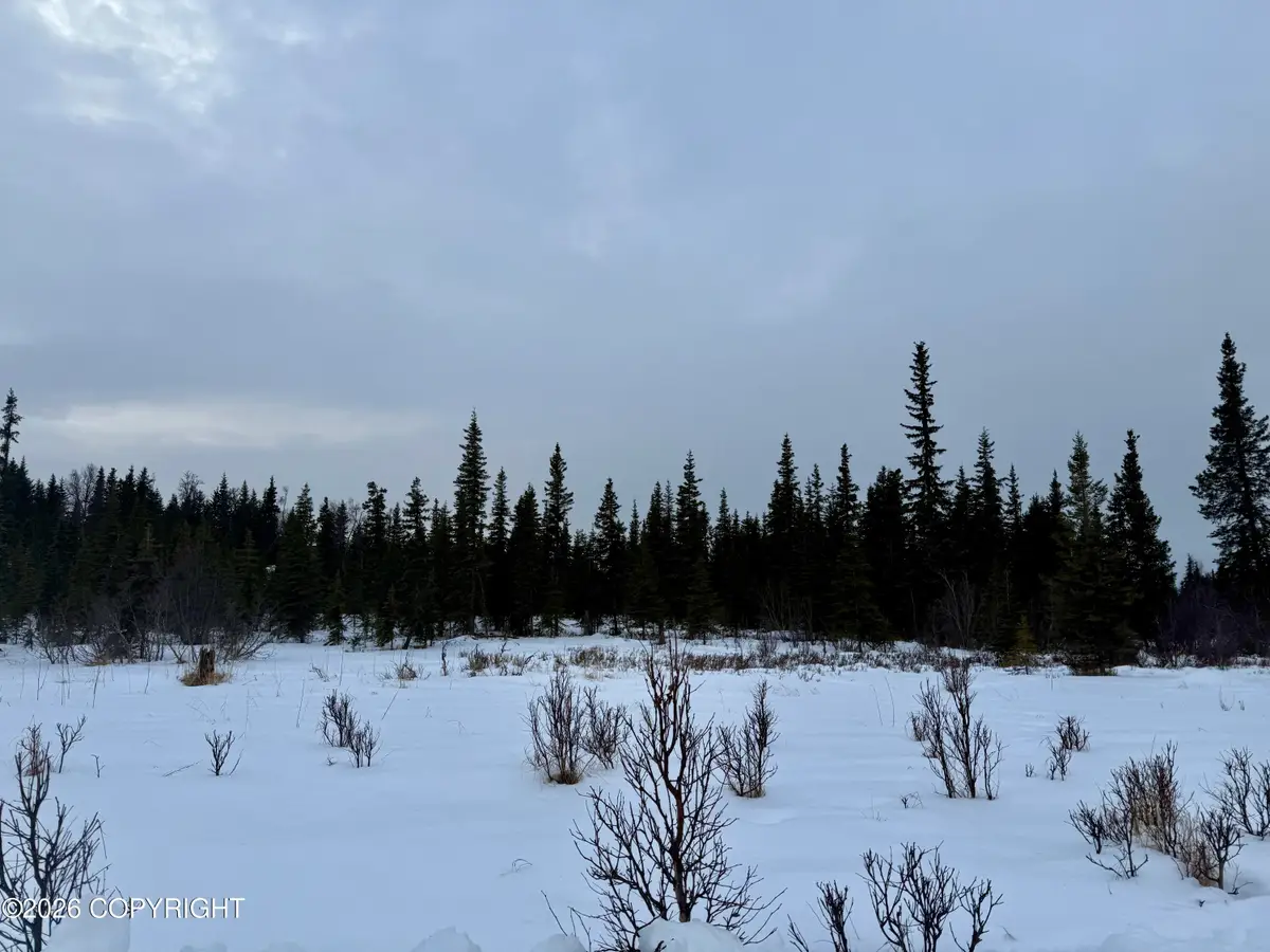 25645 Stinkbug Street, Anchor Point, AK 99556 - Image #1