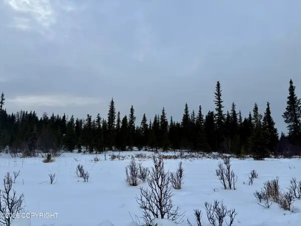 25645 Stinkbug Street, Anchor Point, AK 99556