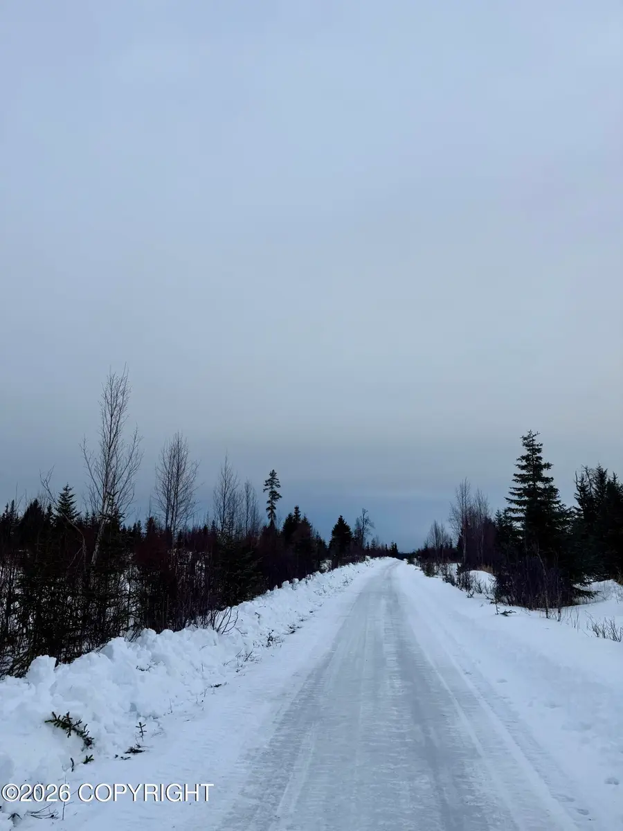 25645 Stinkbug Street, Anchor Point, AK 99556 - Image #2