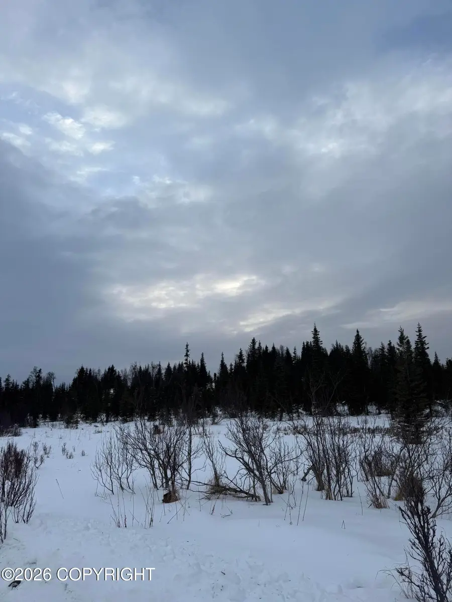 25645 Stinkbug Street, Anchor Point, AK 99556 - Image #3