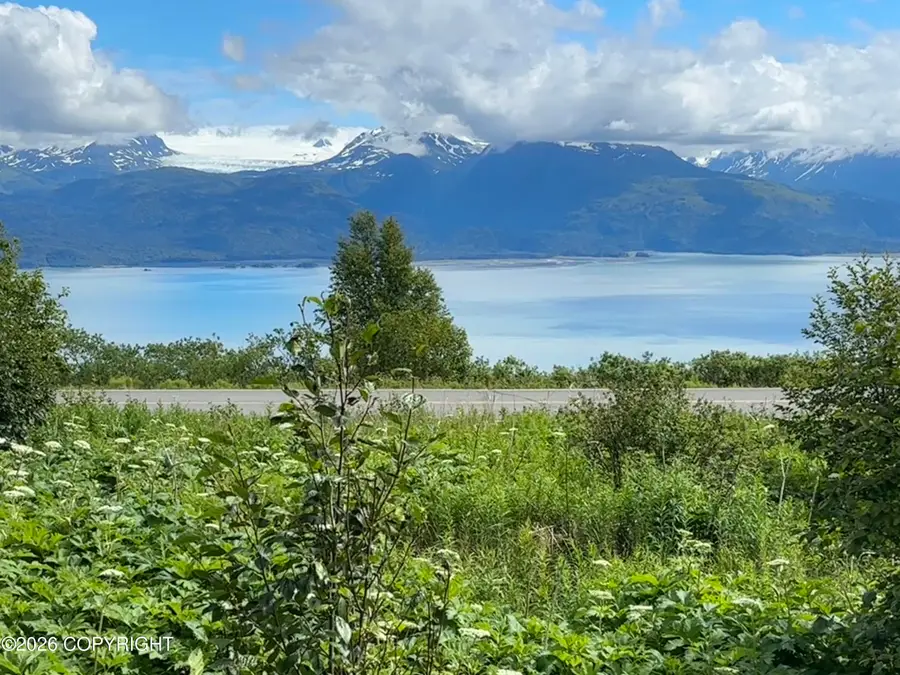 52136 Old E End Road, Homer, AK 99603 - #2