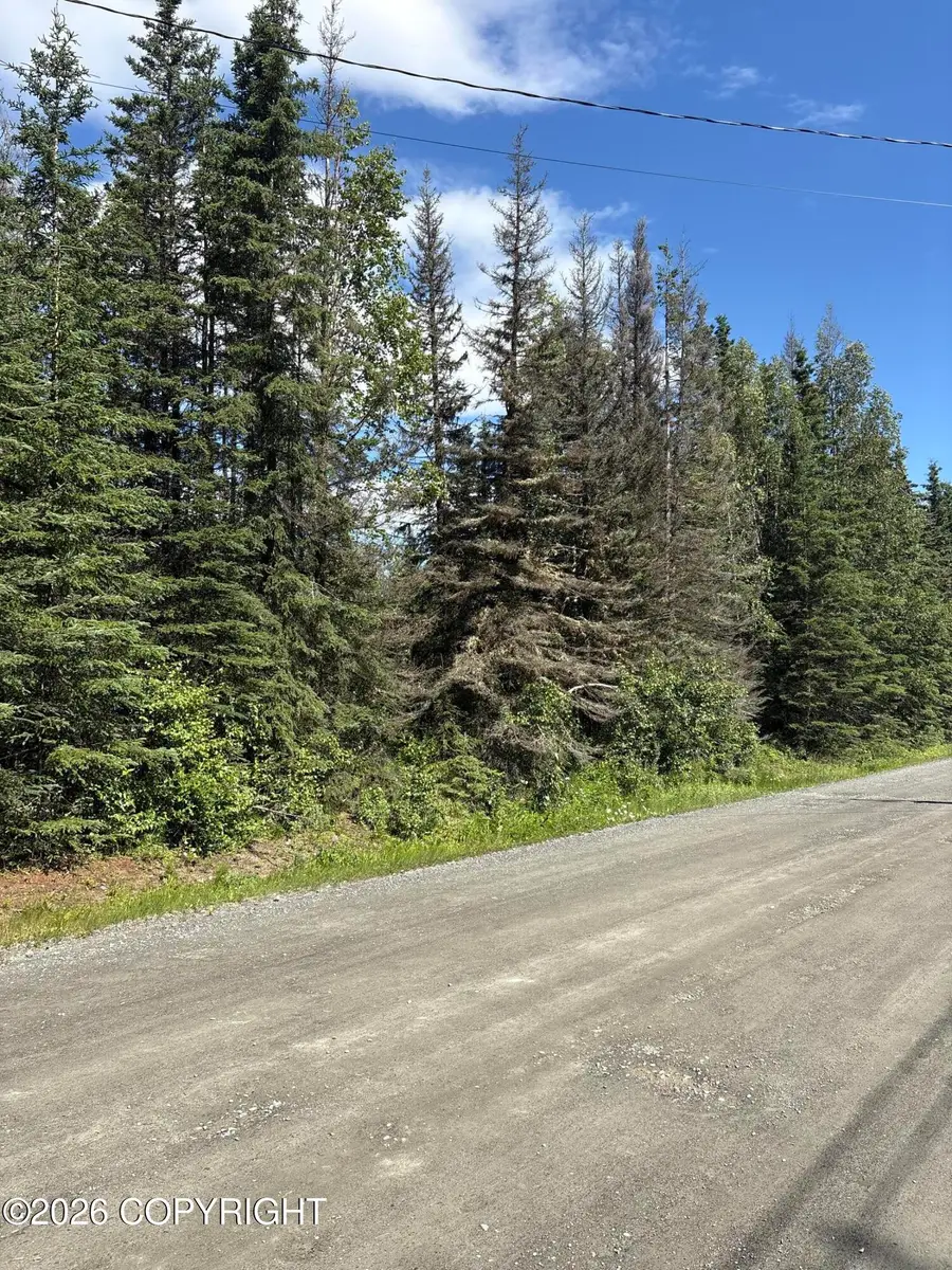 Tr A-2 W Riverview Avenue, Soldotna, AK 99669 - #3