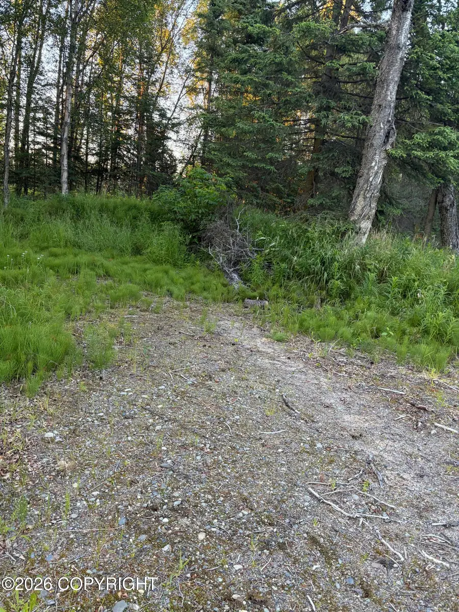 2714 Alpine Avenue, Kenai, AK 99611 - #3