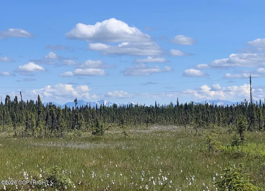 52555 Sterling Highway, Kasilof, AK 99610 - #3