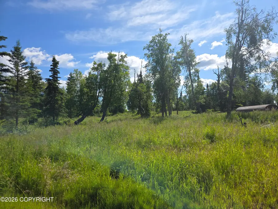 53347 Grindstone Avenue, Kasilof, AK 99610 - #3