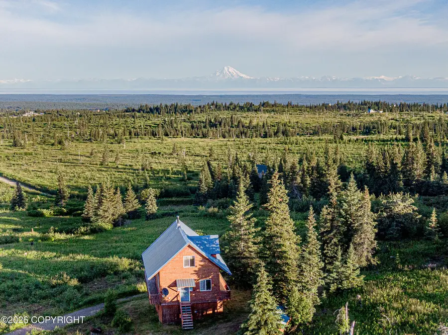 53491 Alexandria Avenue, Ninilchik, AK 99639 - #3