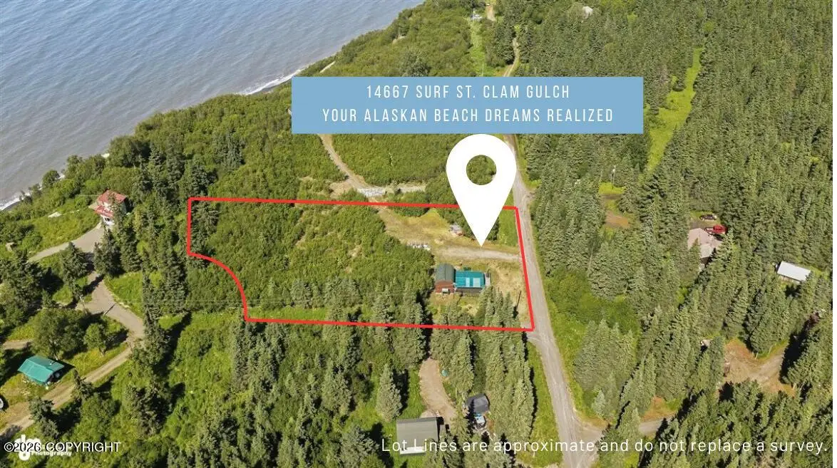 14667 Surf Street, Clam Gulch, AK 99568 - #1