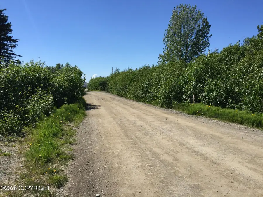 66417 Alder Avenue, Ninilchik, AK 99639 - #2