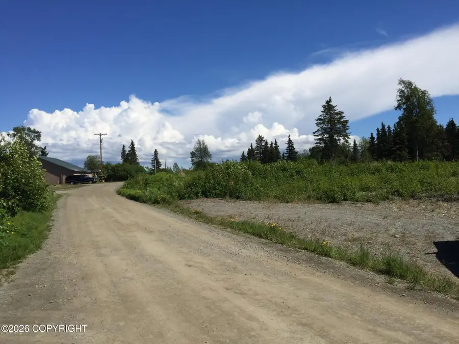 66417 Alder Avenue, Ninilchik, AK 99639 - #3